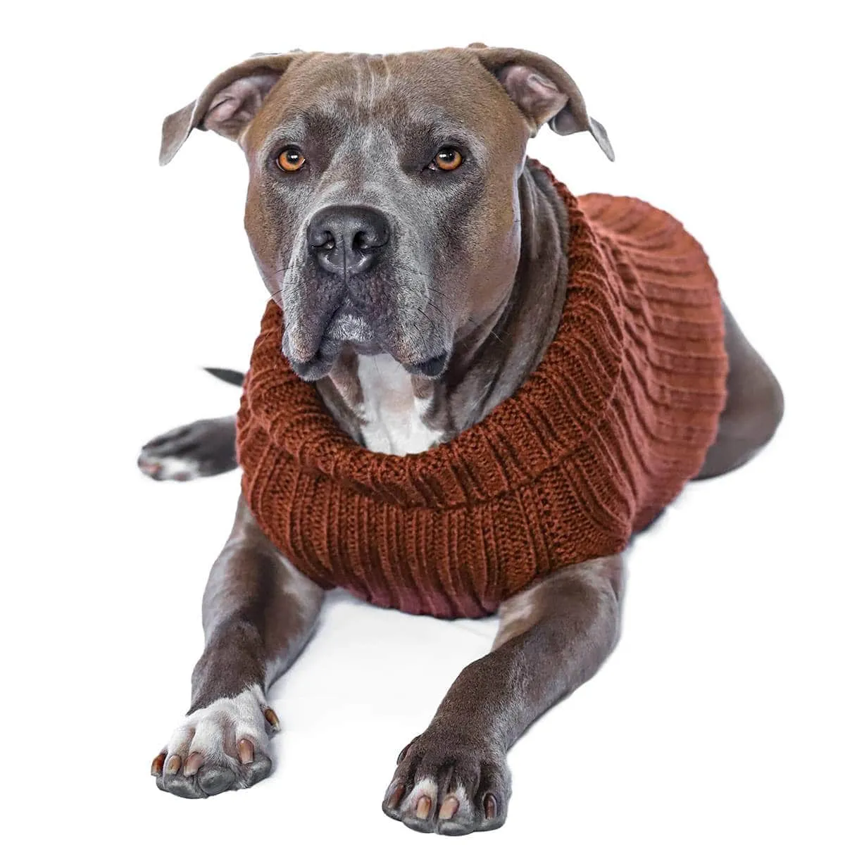 Cozy Brown Zoo-Themed Sweater