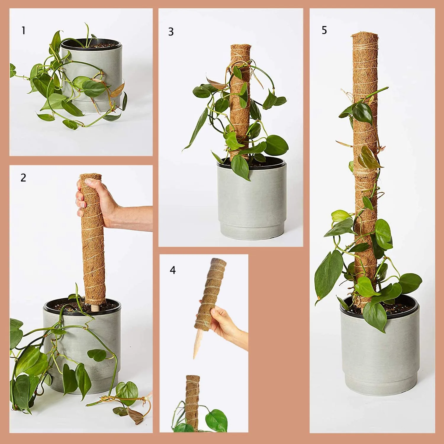 Coco Coir Climbing Pole