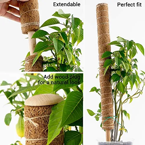 Coco Coir Climbing Pole